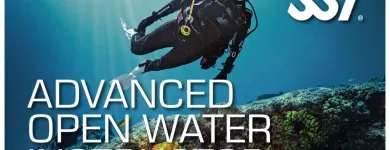 La imagen 2 de la Empresa ESCUELA DE BUCEO SEAS Escuelas de Buceo en Ciudad De México CMX