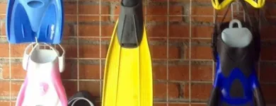 La imagen 7 de la Empresa ESCUELA DE BUCEO SEAS Escuelas de Buceo en Ciudad De México CMX