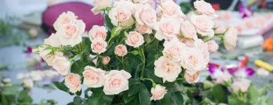 La imagen 4 de la Empresa ESCUELA DE DISEÑO FLORAL CADE Escuelas y academias de artes en Ciudad De México CMX