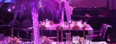 La imagen 4 de la Empresa EVENTOS A&R Organización y Realización de Fiestas y Eventos en Cuautitlán Izcalli MEX