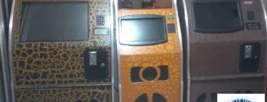 La imagen 7 de la Empresa EVENTOS LOPEZ Servicios Profesionales y de Negocios en Zapopan JAL