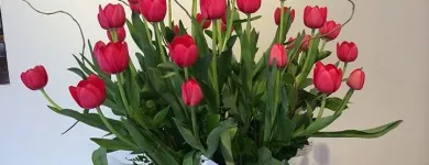 La imagen 3 de la Empresa FLORERÍA KARLA Industrias y Agricultura en Torreon COA