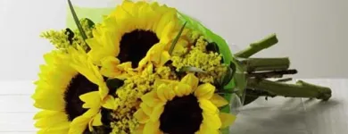 La imagen 2 de la Empresa FLORERÍAS MONTERREY Industrias y Agricultura en Monterrey NLE