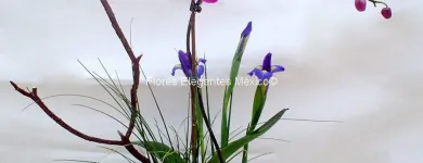 La imagen 1 de la Empresa FLORES ELEGANTES DE MEXICO Tiendas de Regalos en Ciudad De México CMX