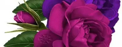 La imagen 3 de la Empresa FLORES ELEGANTES DE MEXICO Tiendas de Regalos en Ciudad De México CMX