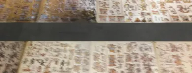 La imagen 14 de la Empresa FOTO PLAZA SA DE CV Tienda de Informática en Texcoco De Mora MEX