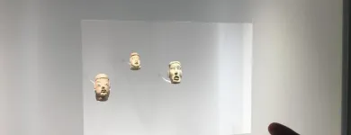 La imagen 17 de la Empresa FOTO PLAZA SA DE CV Tienda de Informática en Texcoco De Mora MEX