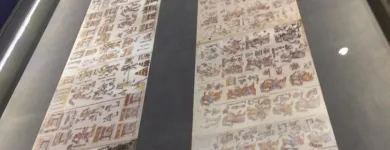 La imagen 64 de la Empresa FOTO PLAZA SA DE CV Tienda de Informática en Texcoco De Mora MEX