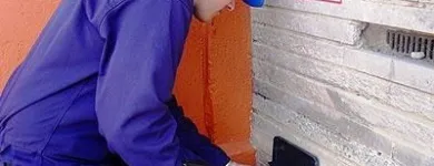 La imagen 9 de la Empresa FUMIGACIÓN PROFESIONAL TERMITAS Y CONTROL DE PLAGAS Servicios Profesionales y de Negocios en Mexicali BCN