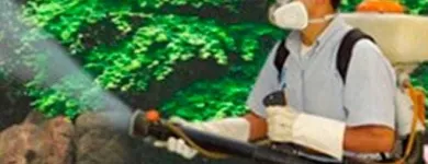 La imagen 1 de la Empresa FUMIGACIONES PROFESIONALES TARAHUMARA Servicios Profesionales y de Negocios en Ciudad Juárez CHH