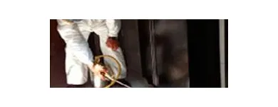 La imagen 2 de la Empresa FUMIGACIONES QUINTANA Servicios Profesionales y de Negocios en Reynosa TAM