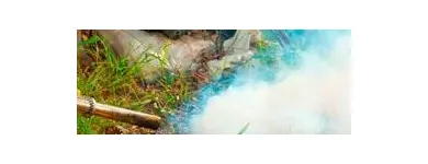 La imagen 3 de la Empresa FUMIGACIONES QUINTANA Servicios Profesionales y de Negocios en Reynosa TAM