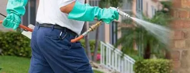 La imagen 1 de la Empresa FUMIGACIONES SUPERNOVA Servicios Profesionales y de Negocios en Morelia MIC