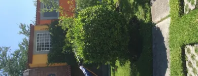 La imagen 3 de la Empresa FUMIGACIONES Y CONTROL DE PLAGAS Servicios Profesionales y de Negocios en Cuernavaca MOR