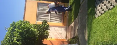 La imagen 4 de la Empresa FUMIGACIONES Y CONTROL DE PLAGAS Servicios Profesionales y de Negocios en Cuernavaca MOR