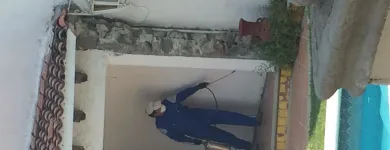 La imagen 5 de la Empresa FUMIGACIONES Y CONTROL DE PLAGAS Servicios Profesionales y de Negocios en Cuernavaca MOR