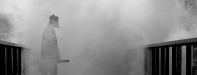 La imagen 2 de la Empresa FUMIGADORA DEL CENTRO Servicios Profesionales y de Negocios en Irapuato GUA