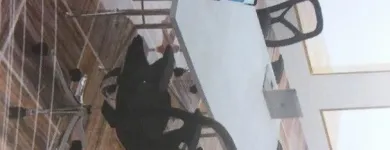 La imagen 2 de la Empresa FUNZIONALE Servicios Profesionales y de Negocios en Cuautla MOR