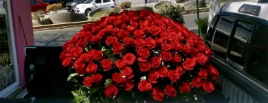 La imagen 1 de la Empresa GALERIA FLORAL Industrias y Agricultura en Querétaro QUE
