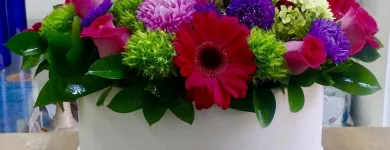 La imagen 25 de la Empresa GALERIA FLORAL Industrias y Agricultura en Querétaro QUE