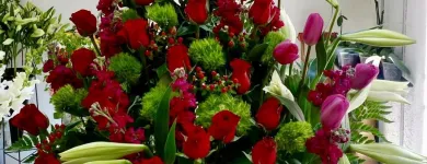 La imagen 31 de la Empresa GALERIA FLORAL Industrias y Agricultura en Querétaro QUE