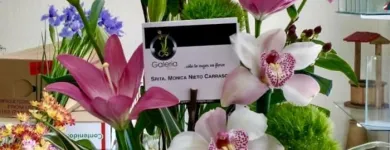 La imagen 40 de la Empresa GALERIA FLORAL Industrias y Agricultura en Querétaro QUE