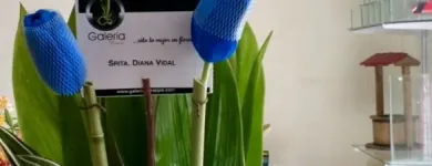 La imagen 46 de la Empresa GALERIA FLORAL Industrias y Agricultura en Querétaro QUE