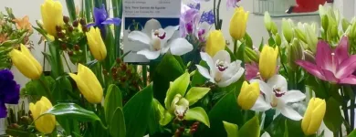 La imagen 47 de la Empresa GALERIA FLORAL Industrias y Agricultura en Querétaro QUE