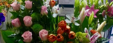 La imagen 48 de la Empresa GALERIA FLORAL Industrias y Agricultura en Querétaro QUE