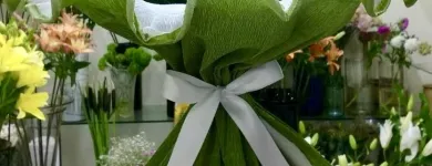 La imagen 53 de la Empresa GALERIA FLORAL Industrias y Agricultura en Querétaro QUE