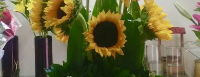 La imagen 60 de la Empresa GALERIA FLORAL Industrias y Agricultura en Querétaro QUE