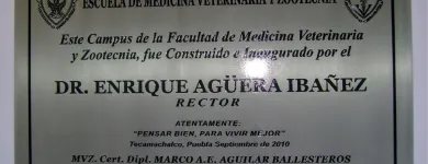 La imagen 21 de la Empresa GRABADOS E IMPRESIONES LIBRA Servicios Profesionales y de Negocios en Heroica Puebla De Zaragoza PUE
