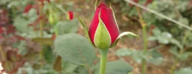 La imagen 2 de la Empresa GRUPO AIBTA SA Sistemas hidráulicos y neumáticos en Ocotlán JAL