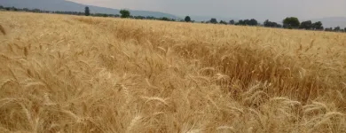 La imagen 3 de la Empresa GRUPO AIBTA SA Sistemas hidráulicos y neumáticos en Ocotlán JAL