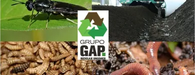 La imagen 4 de la Empresa GRUPO GAP RECICLAJE ORGÁNICO Servicios Profesionales y de Negocios en San Pedro Garza García NLE