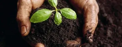 La imagen 9 de la Empresa GRUPO GAP RECICLAJE ORGÁNICO Servicios Profesionales y de Negocios en San Pedro Garza García NLE