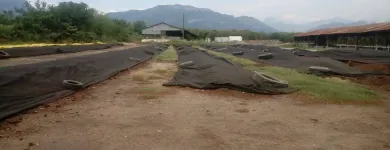 La imagen 12 de la Empresa GRUPO GAP RECICLAJE ORGÁNICO Servicios Profesionales y de Negocios en San Pedro Garza García NLE