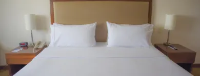 La imagen 79 de la Empresa HOLIDAY INN EXPRESS & SUITES CELAYA Transportes y Turismo en Celaya GUA