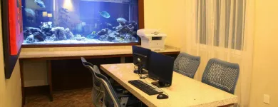 La imagen 26 de la Empresa HOLIDAY INN EXPRESS & SUITES CUERNAVACA Transportes y Turismo en Cuernavaca MOR