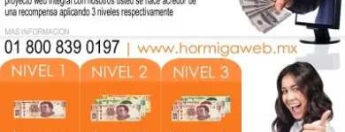 La imagen 2 de la Empresa HORMIGA WEB | DISEÑO DE PAGINAS WEB MÉXICO Servicios Profesionales y de Negocios en Guadalajara JAL