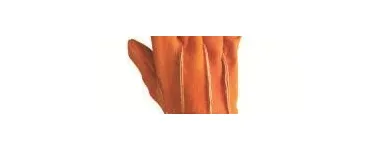 La imagen 10 de la Empresa HORVITT GROUP Servicios Profesionales y de Negocios en Leon GUA