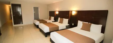 La imagen 2 de la Empresa HOTEL JOY SUITES Transportes y Turismo en Irapuato GUA