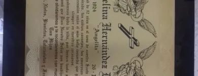 La imagen 21 de la Empresa IMPRESOS,FOTOGRABADO Y GRABADOS DE CALIDAD FLORES Servicios Profesionales y de Negocios en Heroica Puebla De Zaragoza PUE