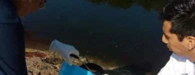 La imagen 3 de la Empresa ING EN LOS SIST DE TRATAMIENTO DE AGUAS Servicios Profesionales y de Negocios en Acapulco GRO