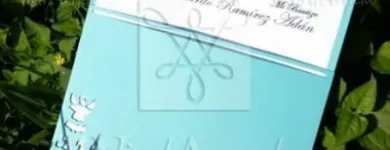 La imagen 15 de la Empresa INVITACIONES DE BODA VINTANGELA Servicios Profesionales y de Negocios en Cuernavaca MOR