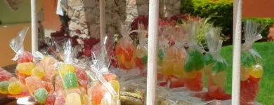 La imagen 1 de la Empresa JARDÍN DE FIESTAS, EVAN KIDS WORLD Organización y Realización de Fiestas y Eventos en Querétaro QUE