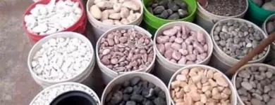 La imagen 3 de la Empresa JARDINERÍA VIVEROS XOCHIMILCO Servicios Profesionales y de Negocios en Mexico CMX