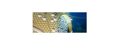 La imagen 2 de la Empresa LABORATORIOS DIAGNÓSTICA Salud y Medicina en Queretaro QUE