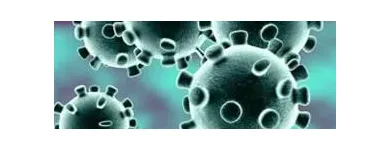 La imagen 1 de la Empresa LAPI LABORATORIO MÉDICO MIRAMONTES Salud y Medicina en Mexico CMX