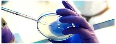 La imagen 2 de la Empresa LAPI LABORATORIO MÉDICO MIRAMONTES Salud y Medicina en Mexico CMX